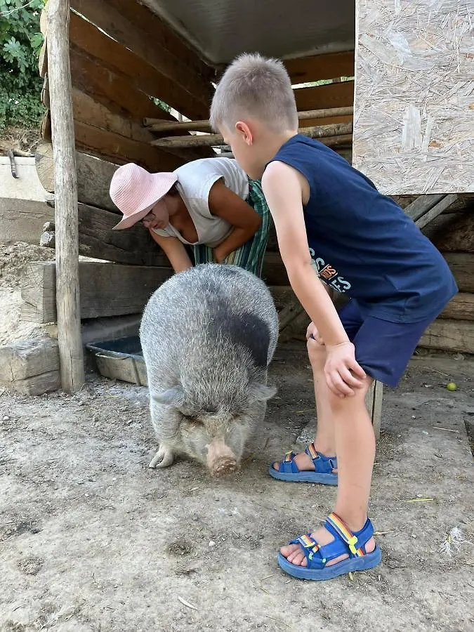 Agriturismo Biofattoria L'Upupa Montalcino