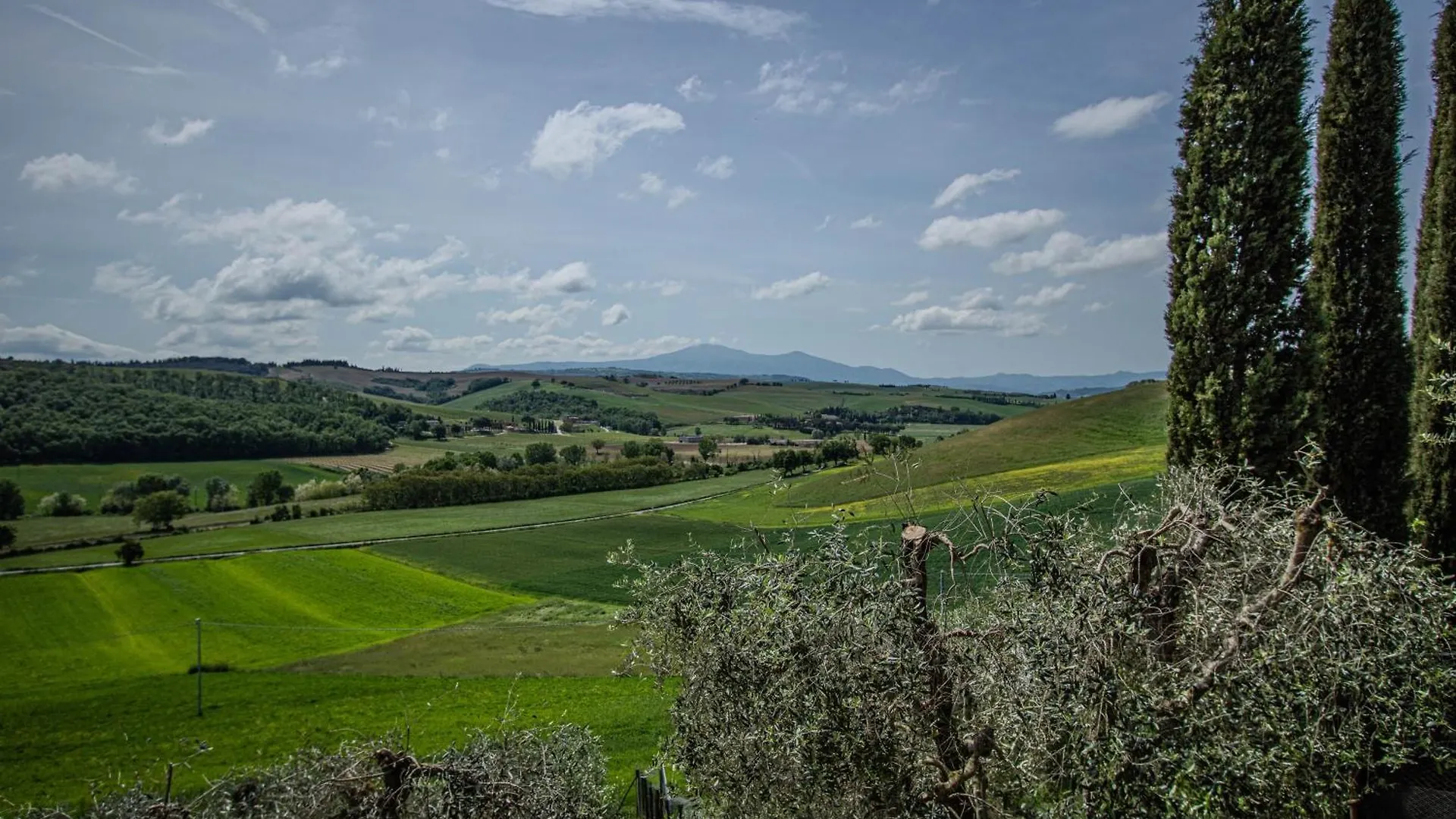 Agriturismo Biofattoria L'Upupa Montalcino 0*,