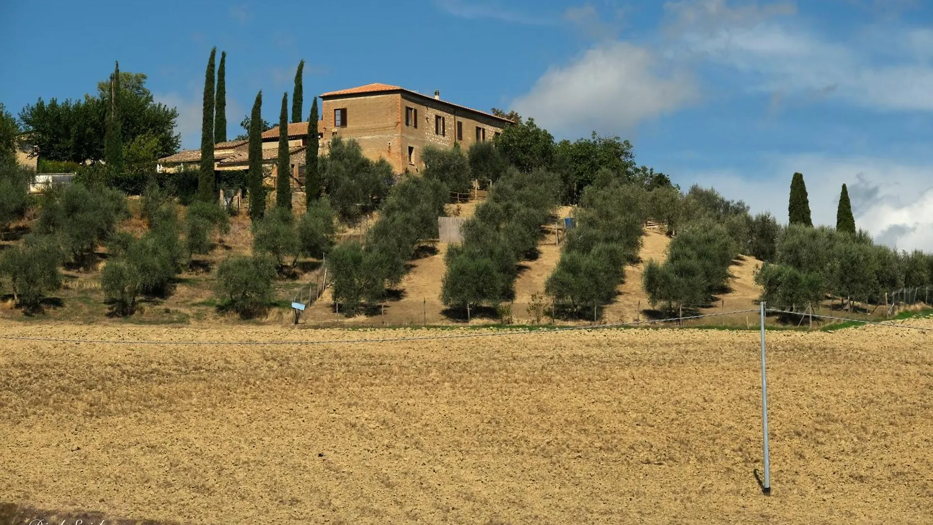 Agriturismo Biofattoria L'Upupa Montalcino Apartment